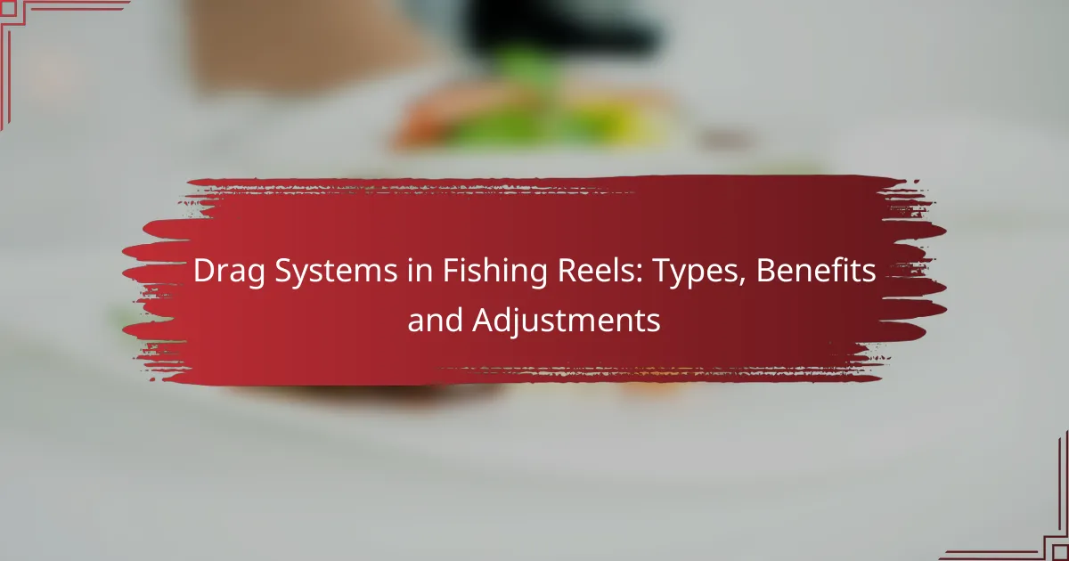 Drag Systems in Fishing Reels: Types, Benefits and Adjustments