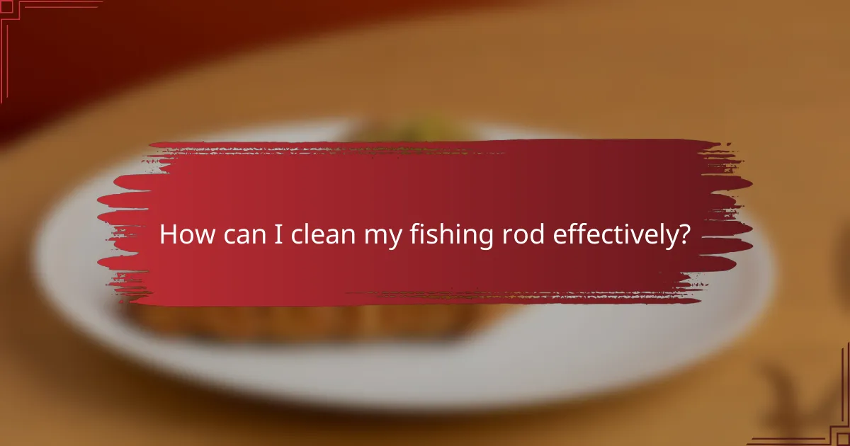 How can I clean my fishing rod effectively?