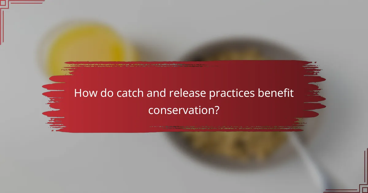 How do catch and release practices benefit conservation?