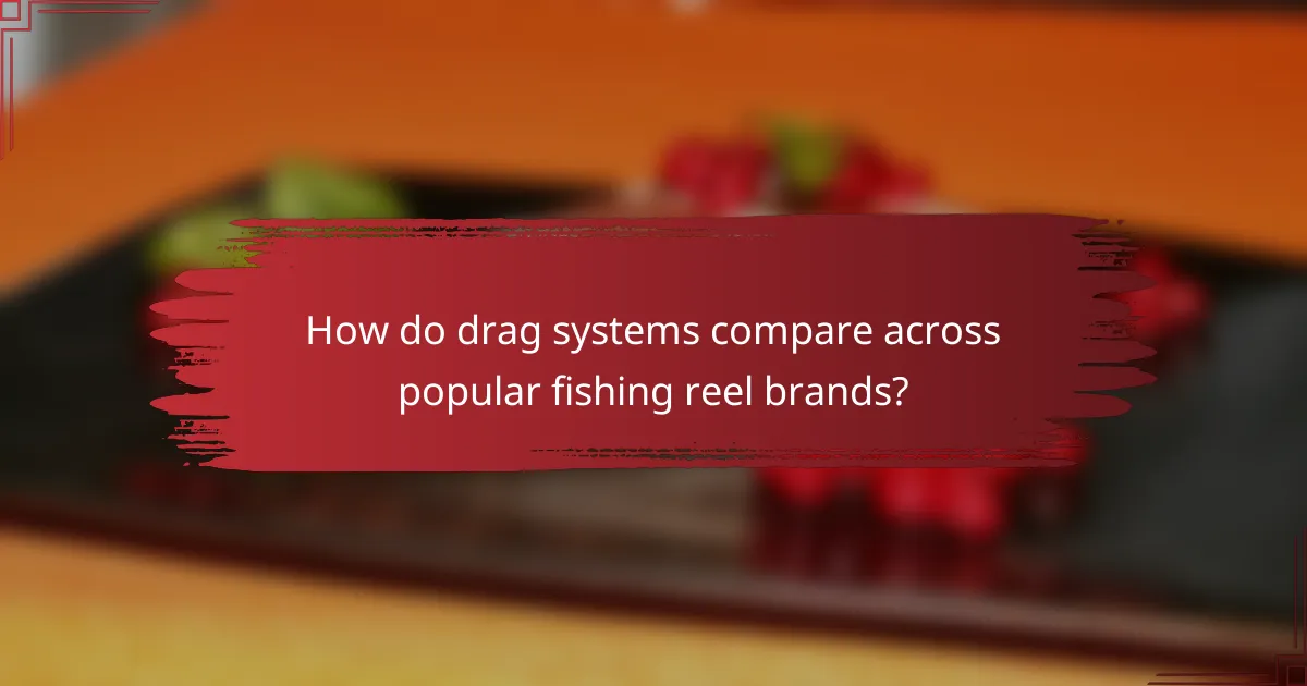 How do drag systems compare across popular fishing reel brands?