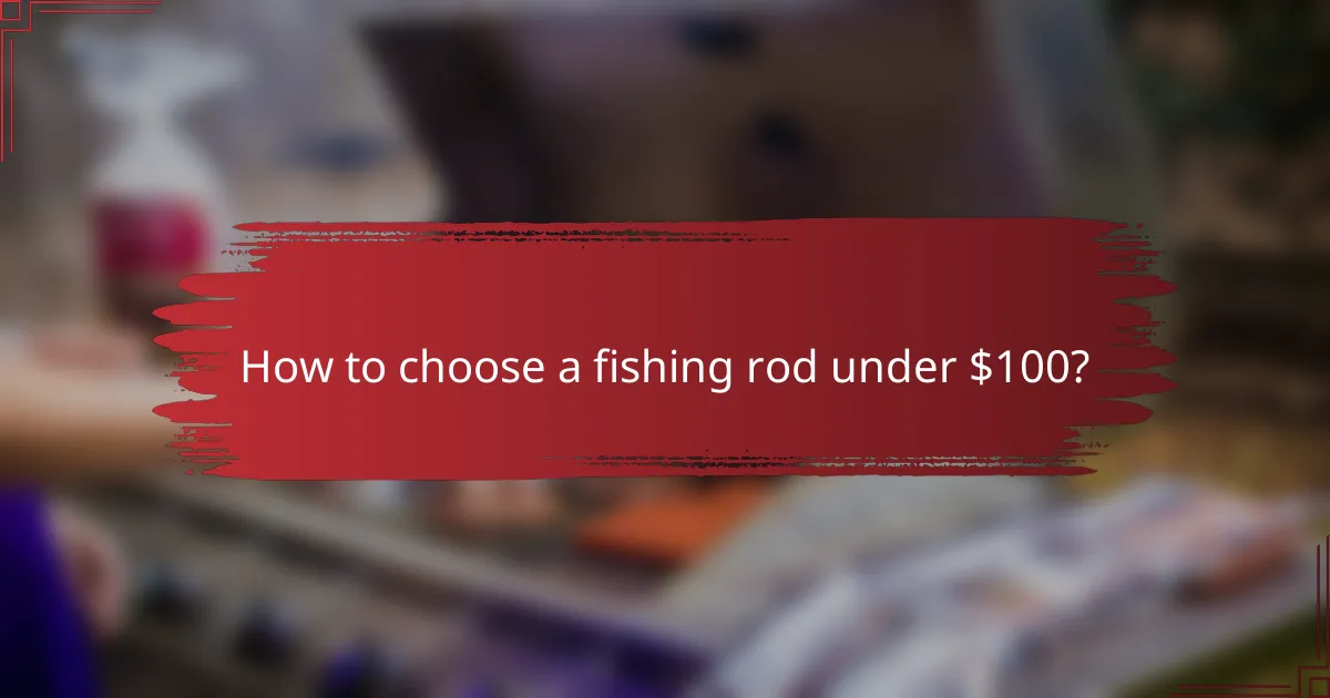How to choose a fishing rod under $100?