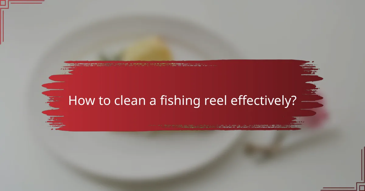 How to clean a fishing reel effectively?