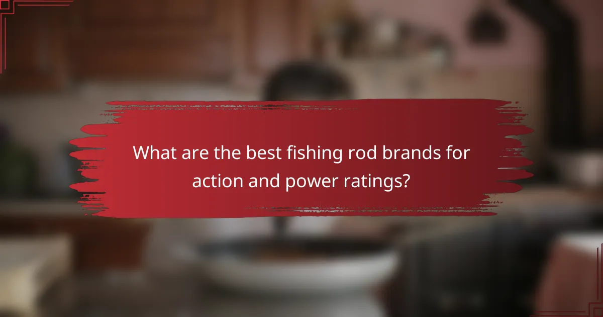 What are the best fishing rod brands for action and power ratings?