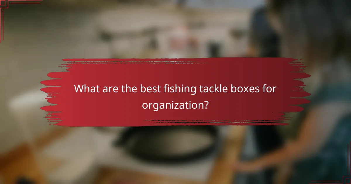 What are the best fishing tackle boxes for organization?