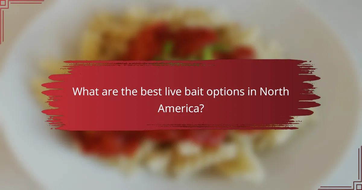 What are the best live bait options in North America?