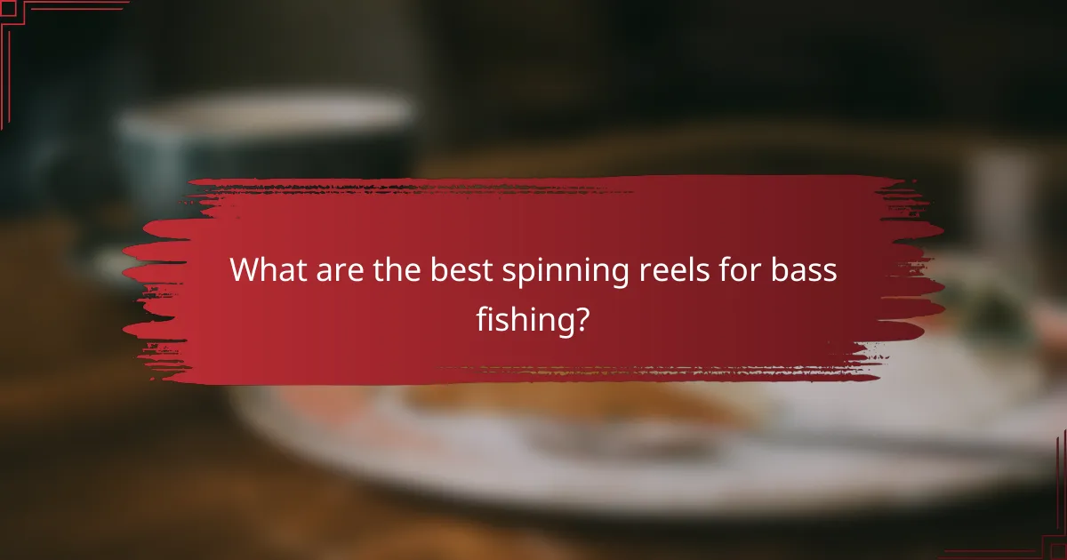 What are the best spinning reels for bass fishing?