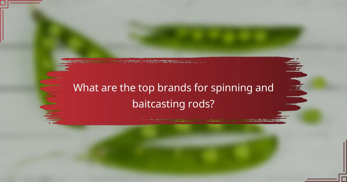What are the top brands for spinning and baitcasting rods?