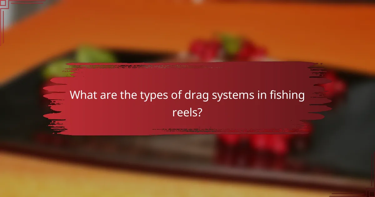 What are the types of drag systems in fishing reels?