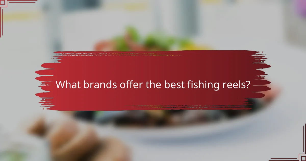 What brands offer the best fishing reels?