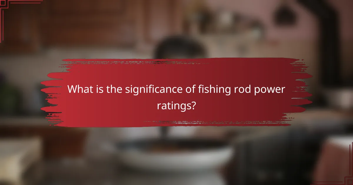 What is the significance of fishing rod power ratings?