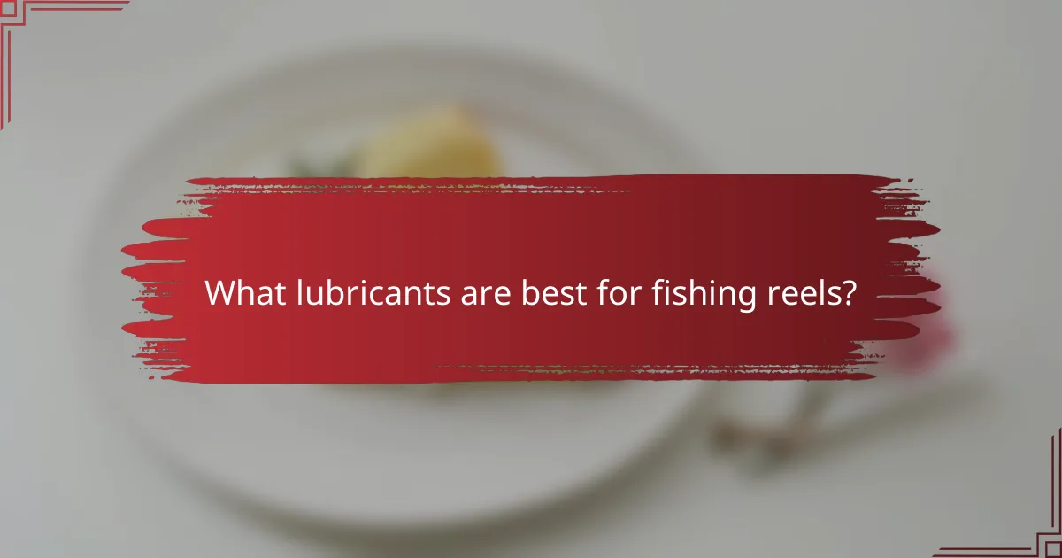 What lubricants are best for fishing reels?