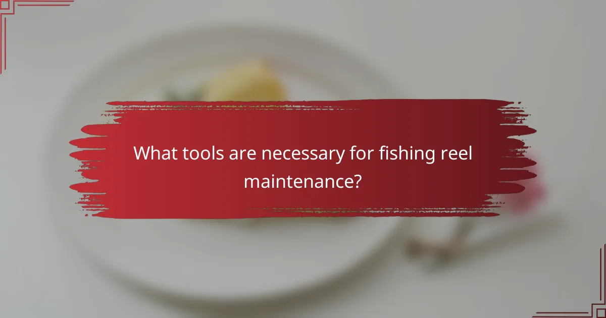 What tools are necessary for fishing reel maintenance?
