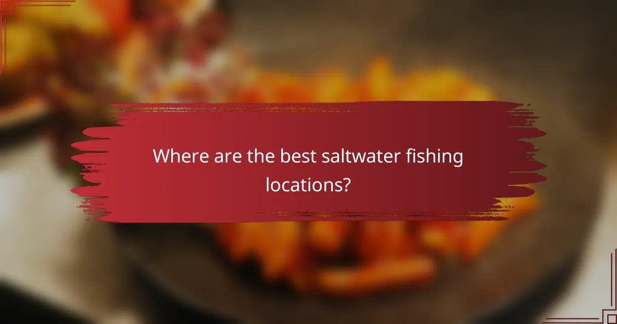 Where are the best saltwater fishing locations?