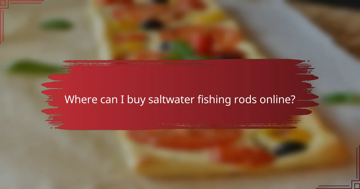 Where can I buy saltwater fishing rods online?