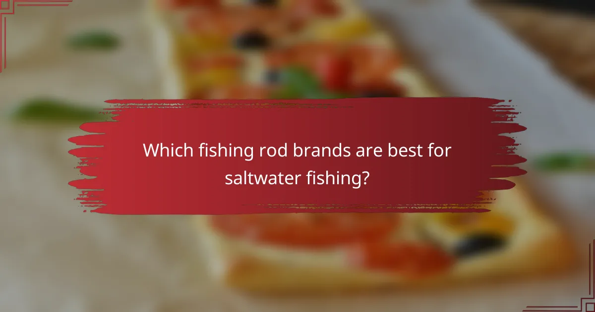 Which fishing rod brands are best for saltwater fishing?