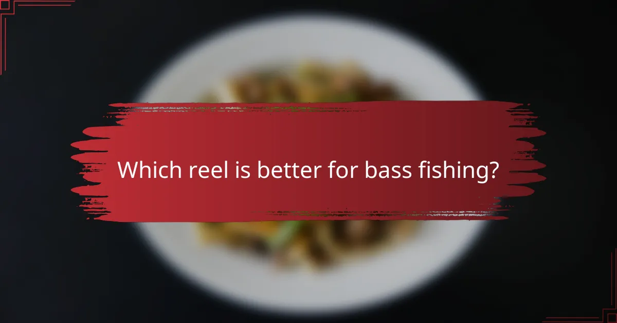 Which reel is better for bass fishing?
